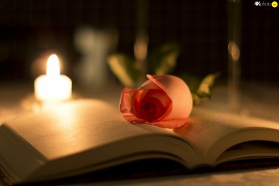 book-candle-rose.jpg